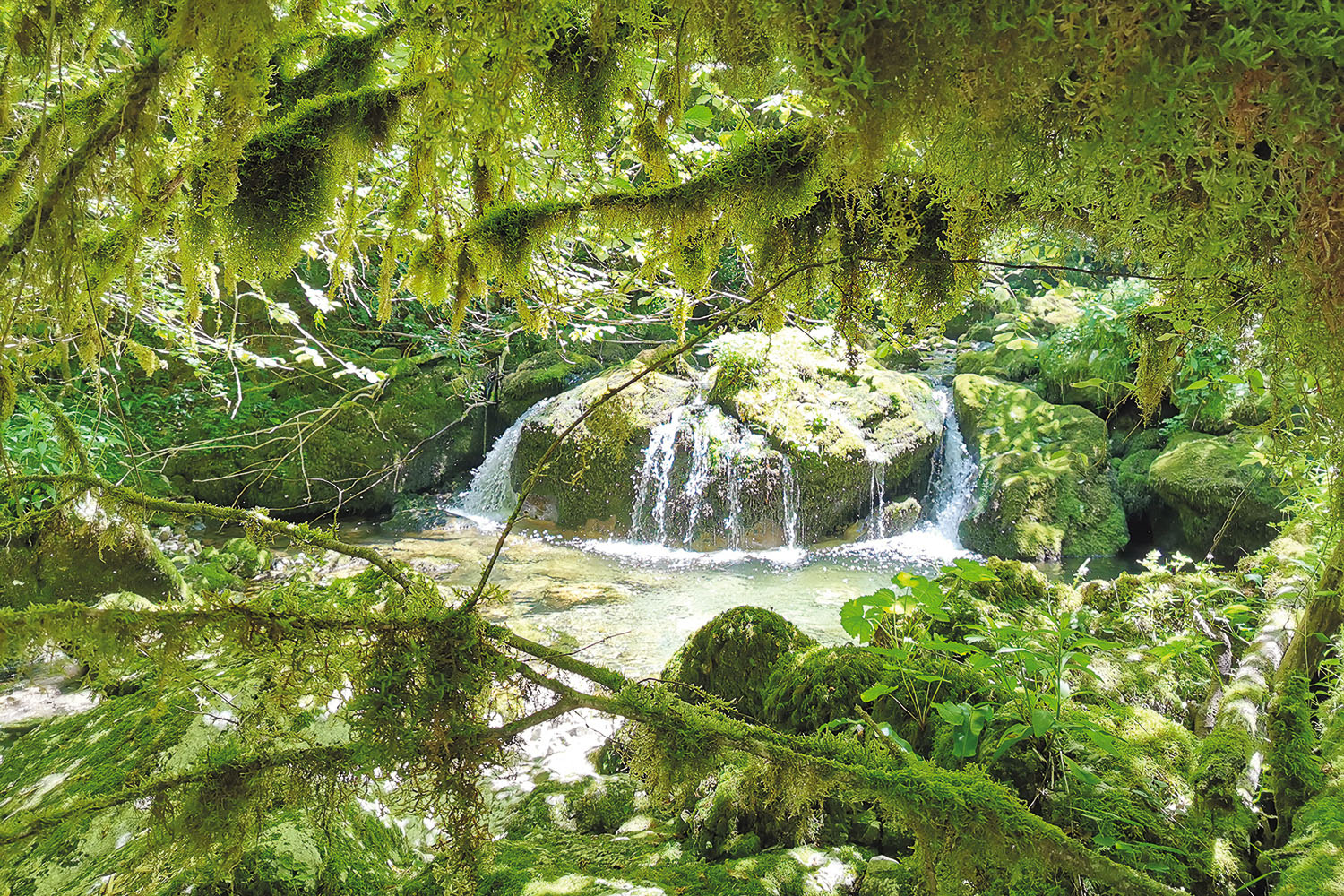 La Gourgue d’Asque Petite Amazonie pyrénéenne... BIGORRE MAG