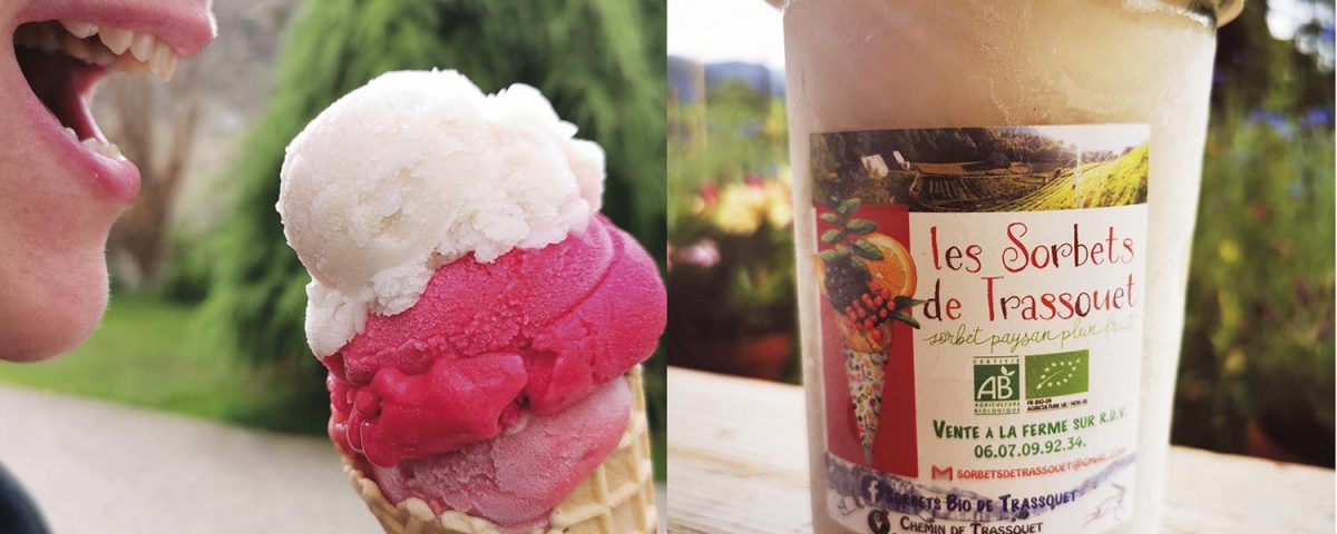 PH entete Sorbet bio p46 01