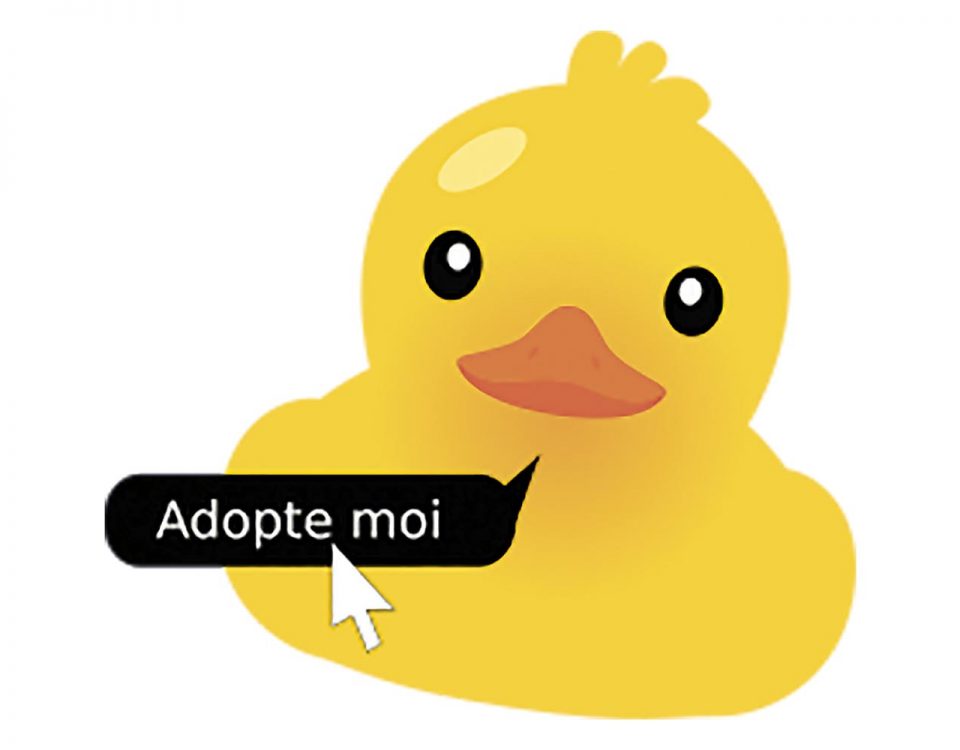 PH entete Duck race p18 01