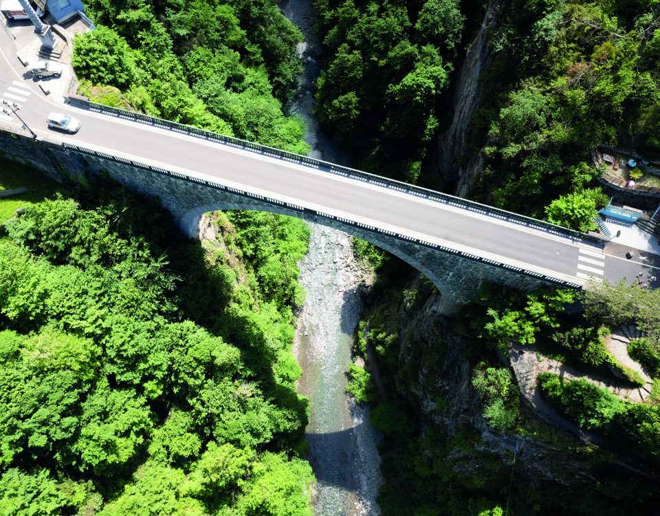 264 PH ENTETE P06 Joyaux des pyrenees 01