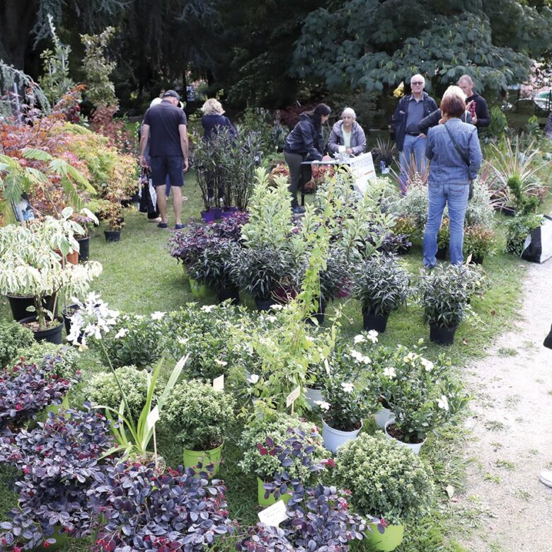 P14 Fete des fleurs 02 1