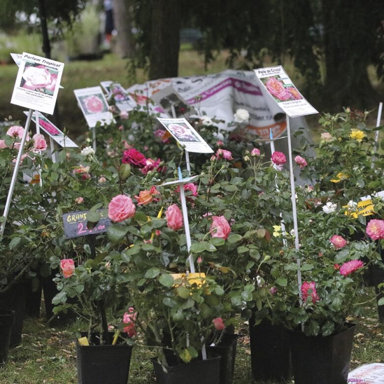 P14 Fete des fleurs 04 1
