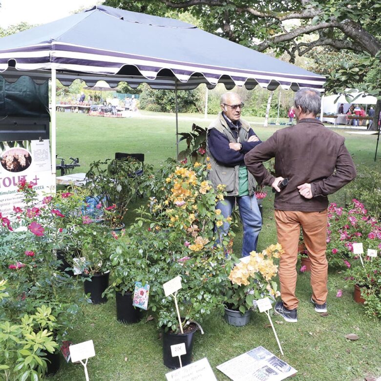 P14 Fete des fleurs 06 1