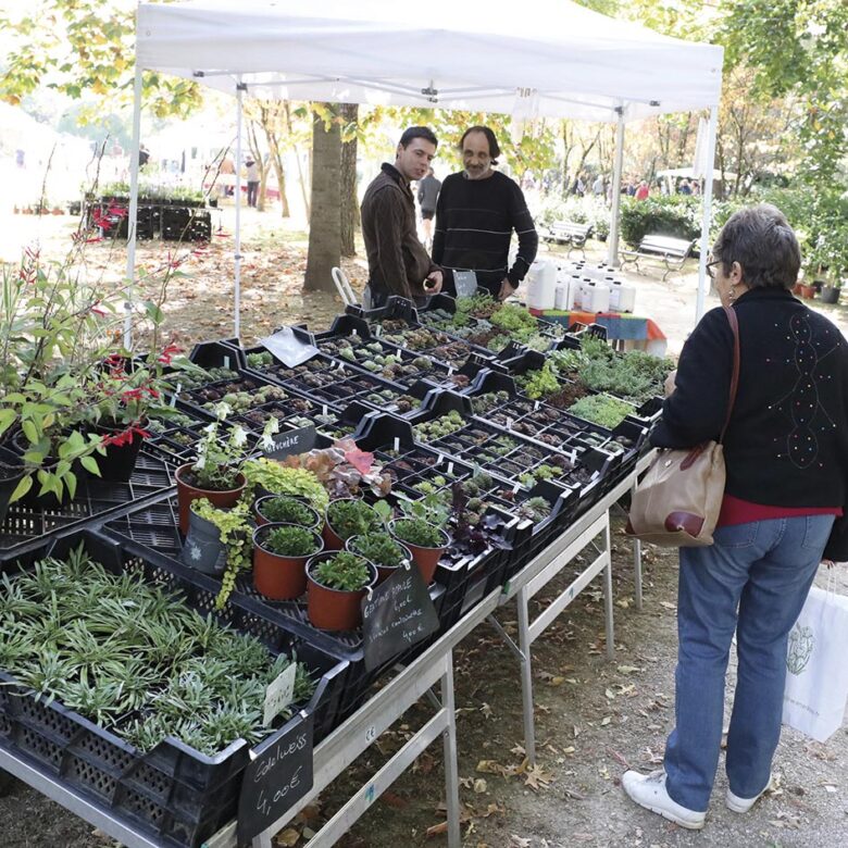 P14 Fete des fleurs 08 1