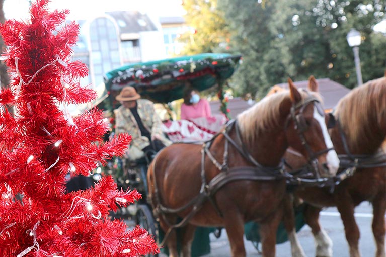 P12 272 Tarbes en decembre 05