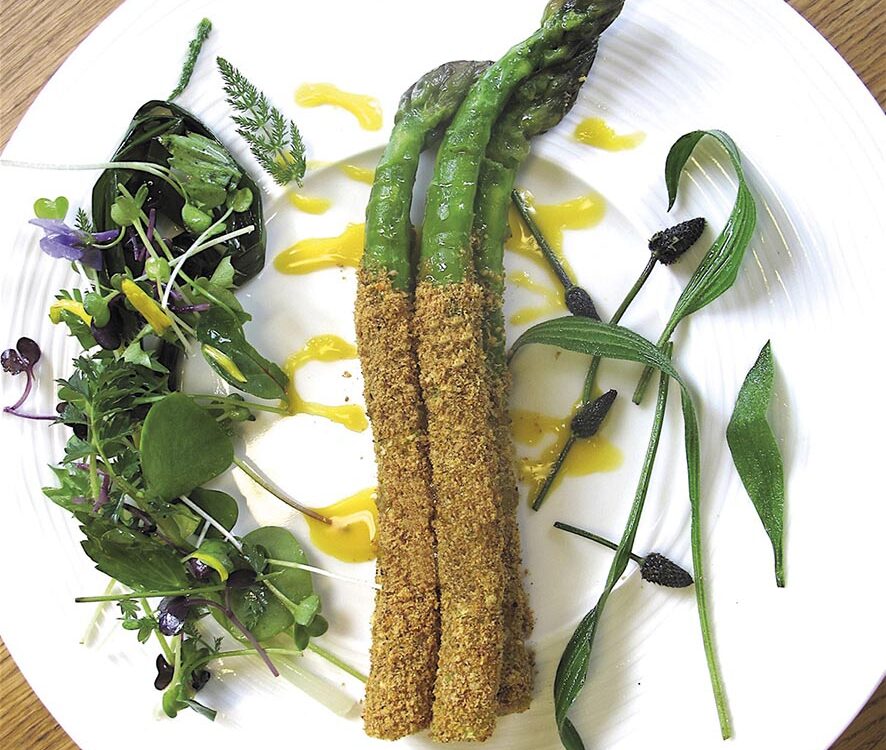 VIGNETTE 06 P28 283 Asperge┬u