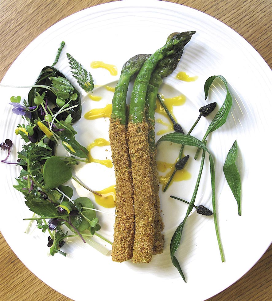 VIGNETTE 06 P28 283 Asperge┬u