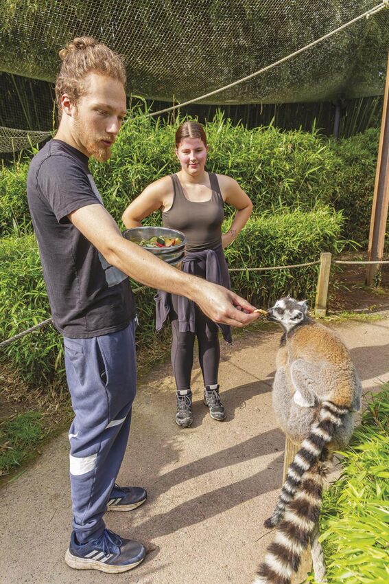 P50 305 ZOO ASSON 12