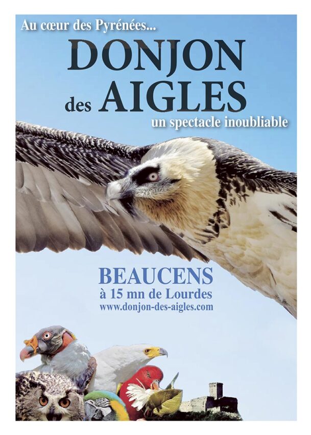 P54 305 DONJON DES AIGLES 3