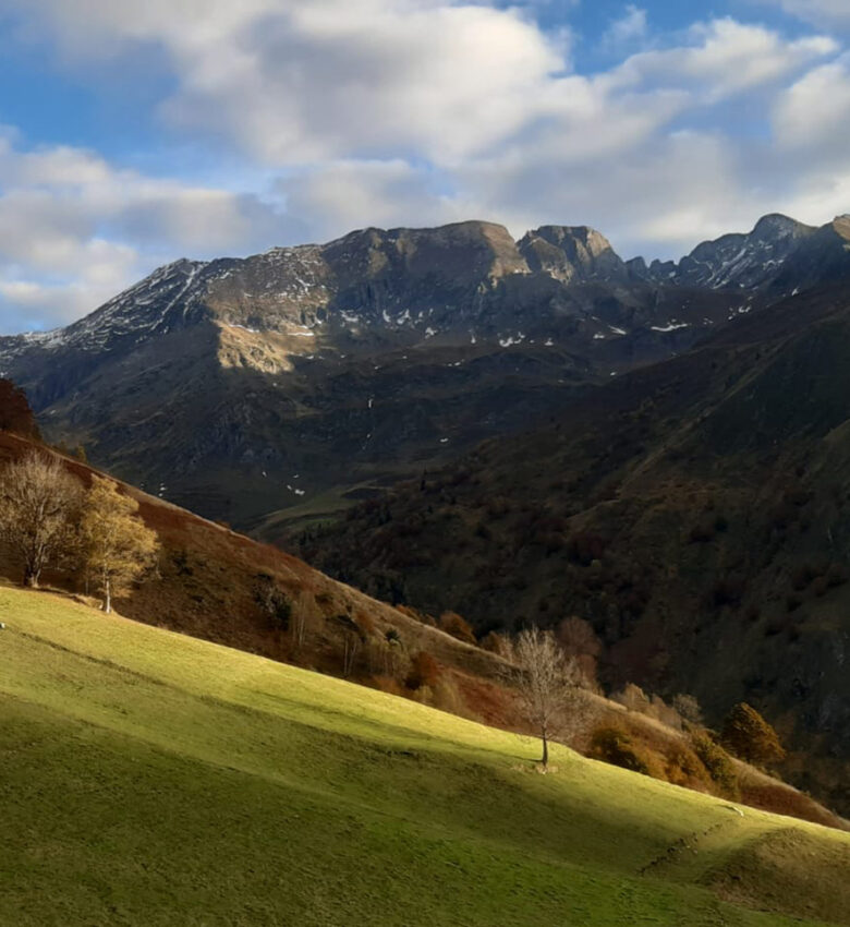 P24 311 COL DE COUME 01
