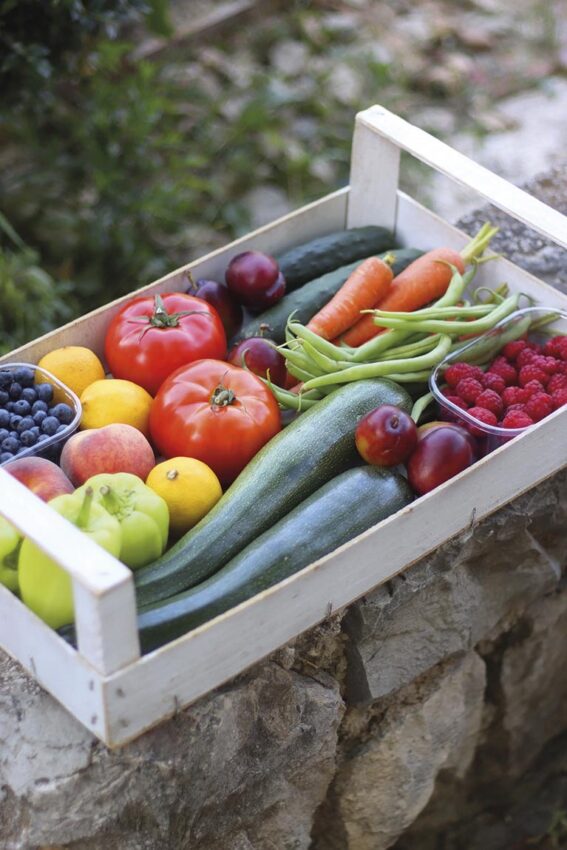 Crate of Food in the Garden