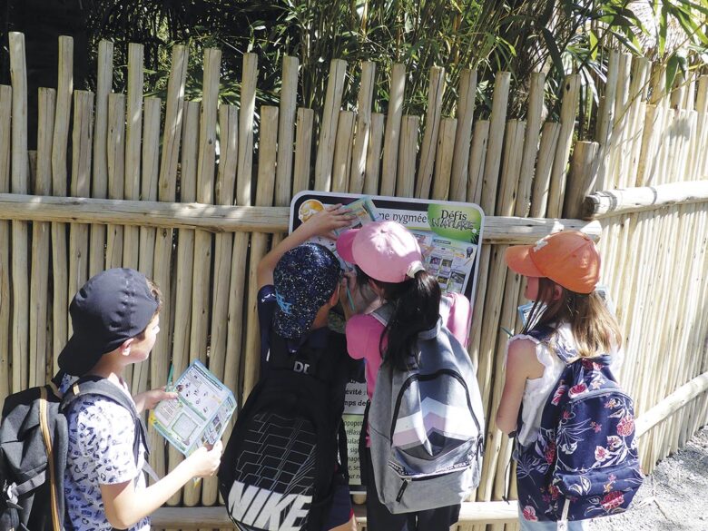 P50 325 ZOO ASSON 09