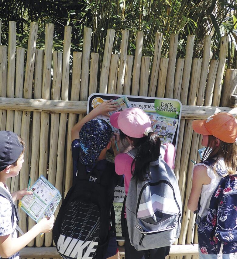 P50 325 ZOO ASSON 09