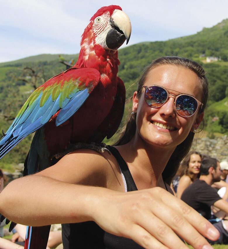 P54 325 DONJON AIGLES 02