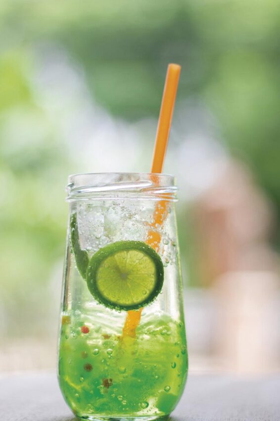 Refreshment drink homemade styly