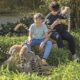 VIGNETTE 02 P50 325 ZOO ASSON