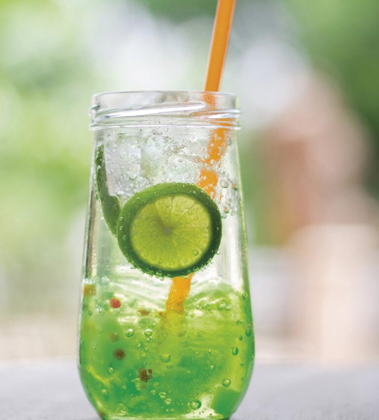 Refreshment drink homemade styly