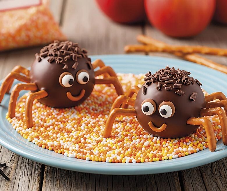 Two adorable chocolate spider treats on a pastel blue plate, nes