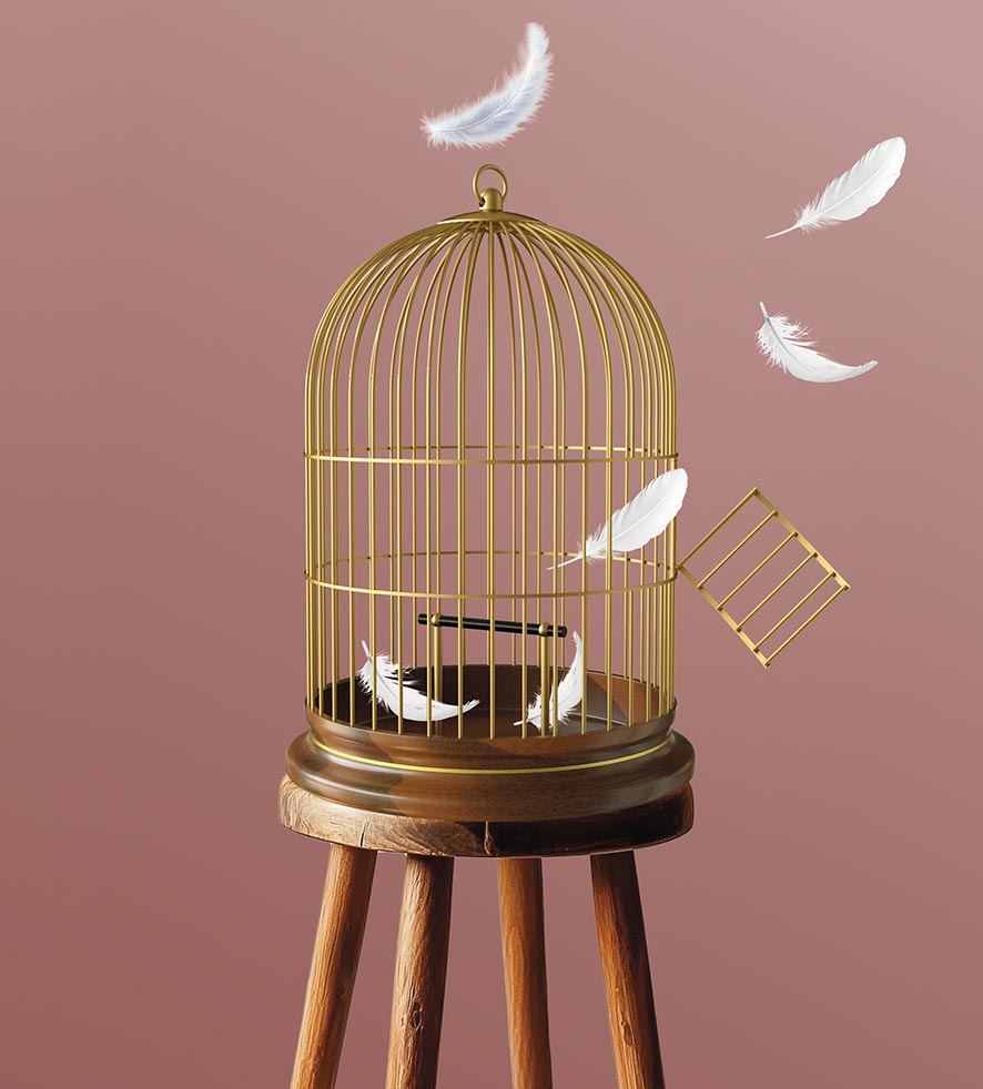 VIGNETTE 01 P16 330 CIDFF