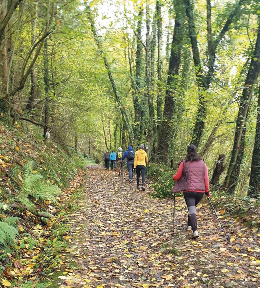 VIGNETTE 04 P20 330 EPGV