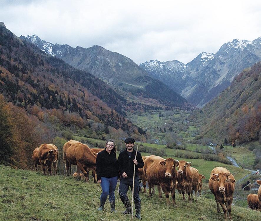 VIGNETTE 03 P18 331 BIOCOOP