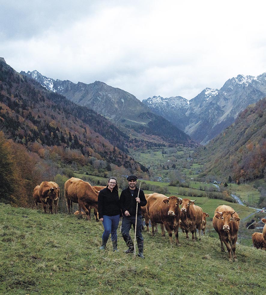 VIGNETTE 03 P18 331 BIOCOOP