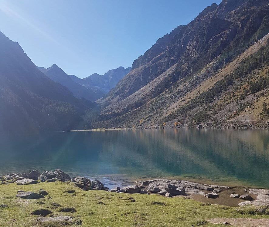 VIGNETTE 06 P24 331 EN VADROUILLE