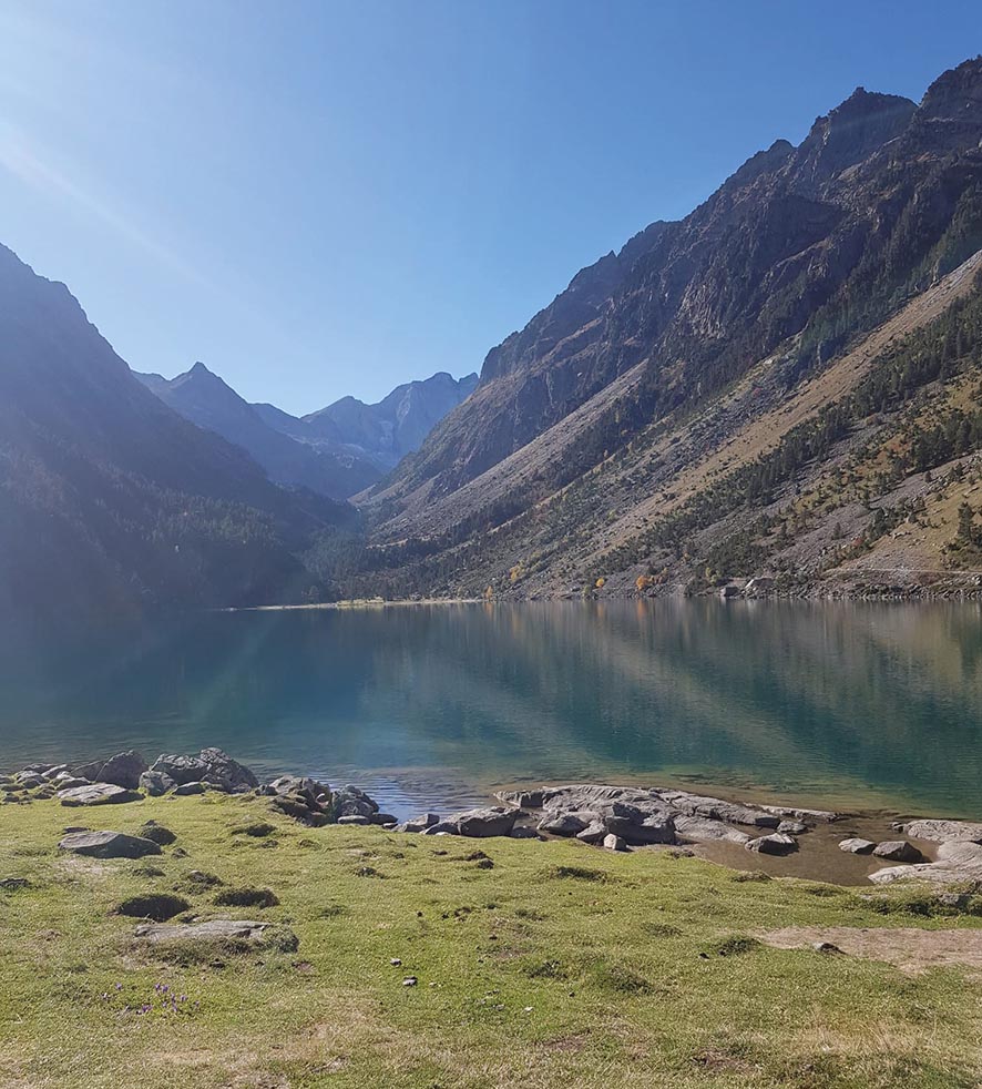 VIGNETTE 06 P24 331 EN VADROUILLE