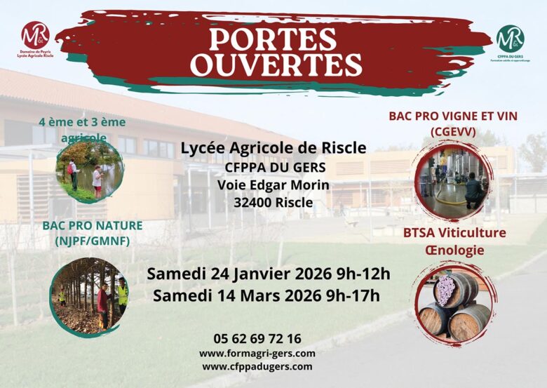 P13 HSF2026 RISCLE 01