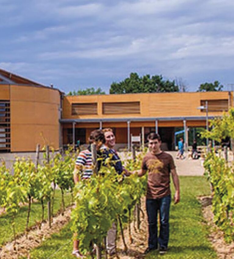 VIGNETTE 03 P13 HSF2026 RISCLE