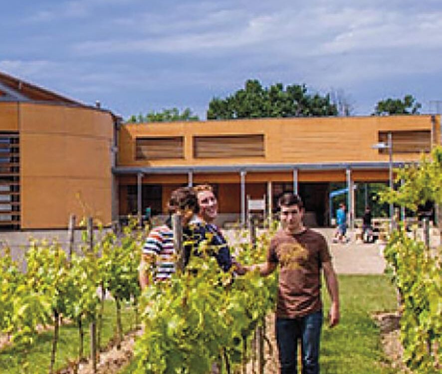 VIGNETTE 03 P13 HSF2026 RISCLE