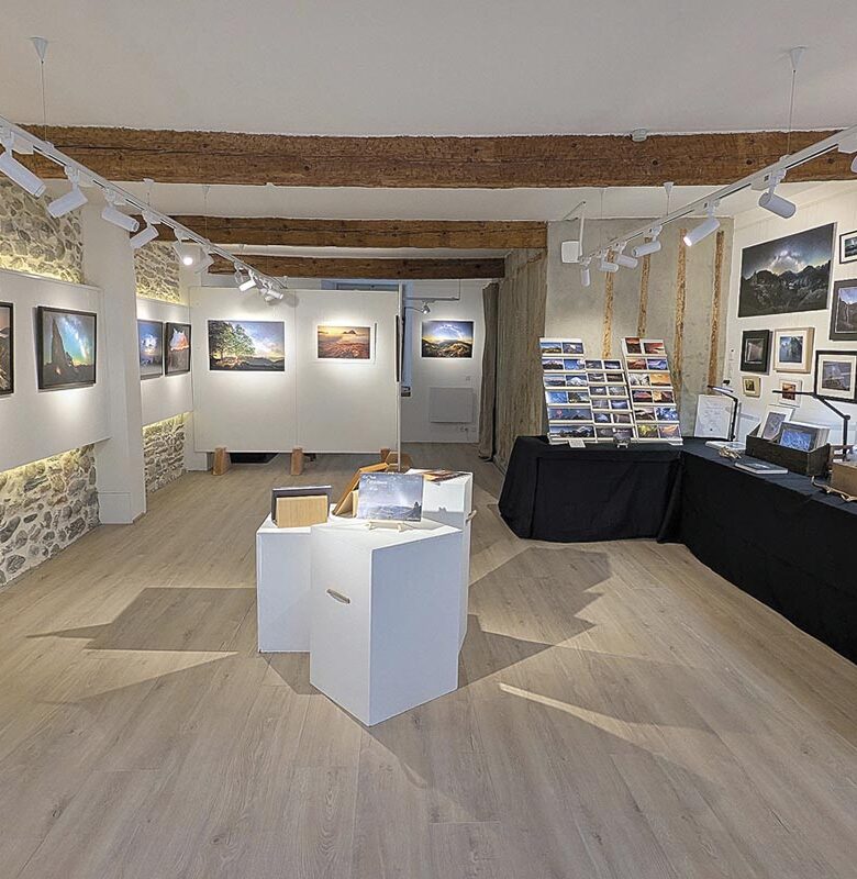 P10 12 334 PYRENEOS 04