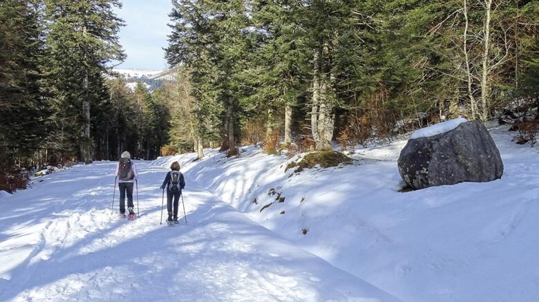 P22 334 SPORT 01 P22 334 SPORT 01