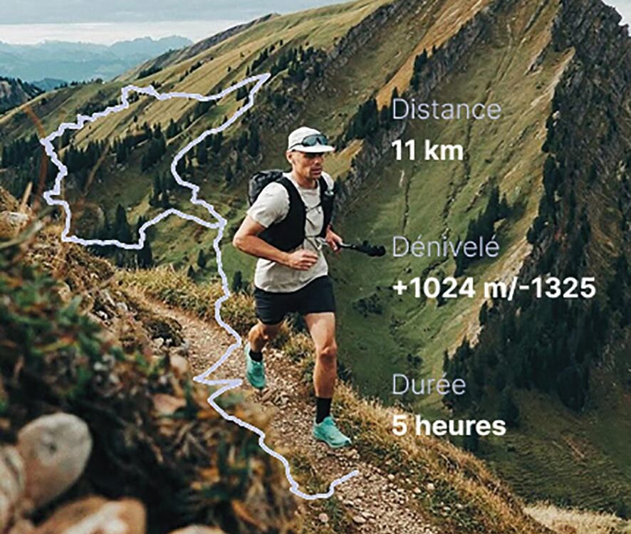 VIGNETTE 05 P10 335 OSSAU