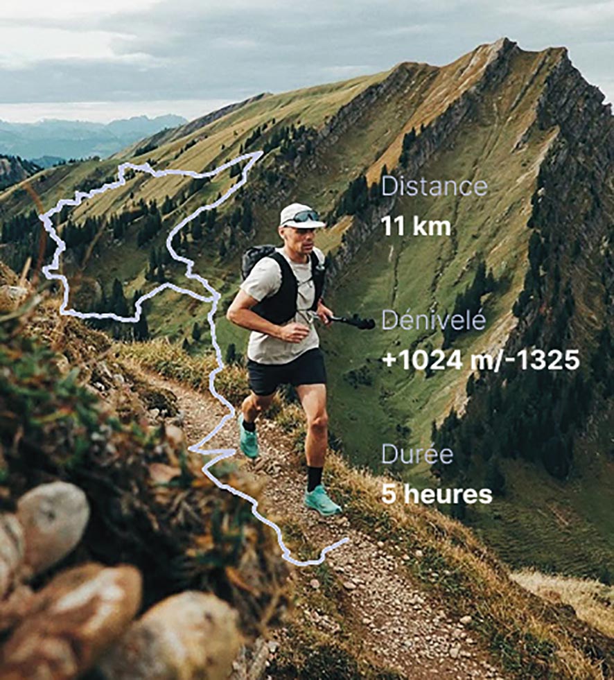 VIGNETTE 05 P10 335 OSSAU