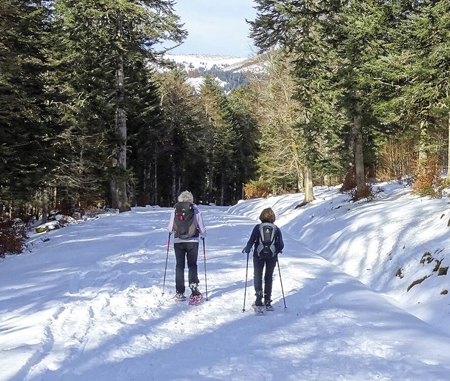 VIGNETTE 08 P22 334 SPORT