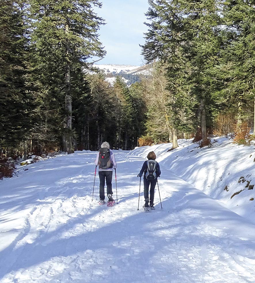 VIGNETTE 08 P22 334 SPORT