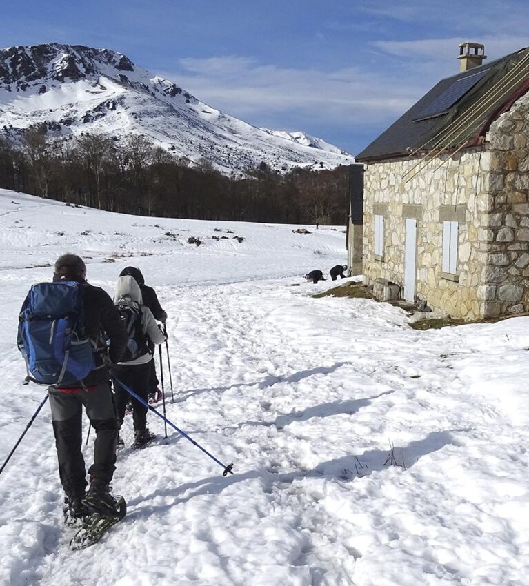 VIGNETTE 08 P24 335 EN VADROUILLE