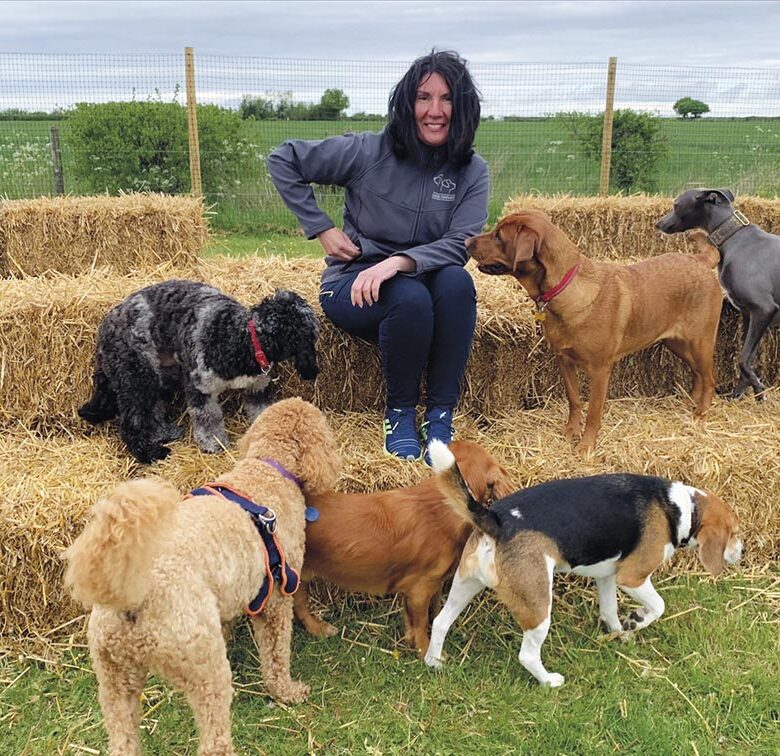 P12 337 CANIPRAIRIE 01