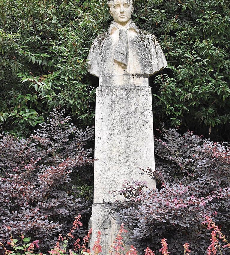 P22 336 EN VADROUILLE 04