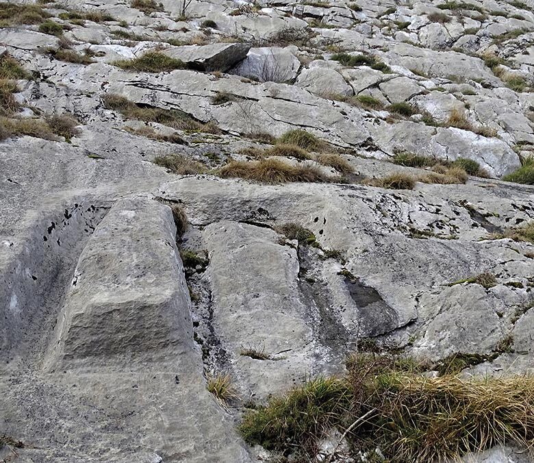 P22 337 EN VADROUILLE 01