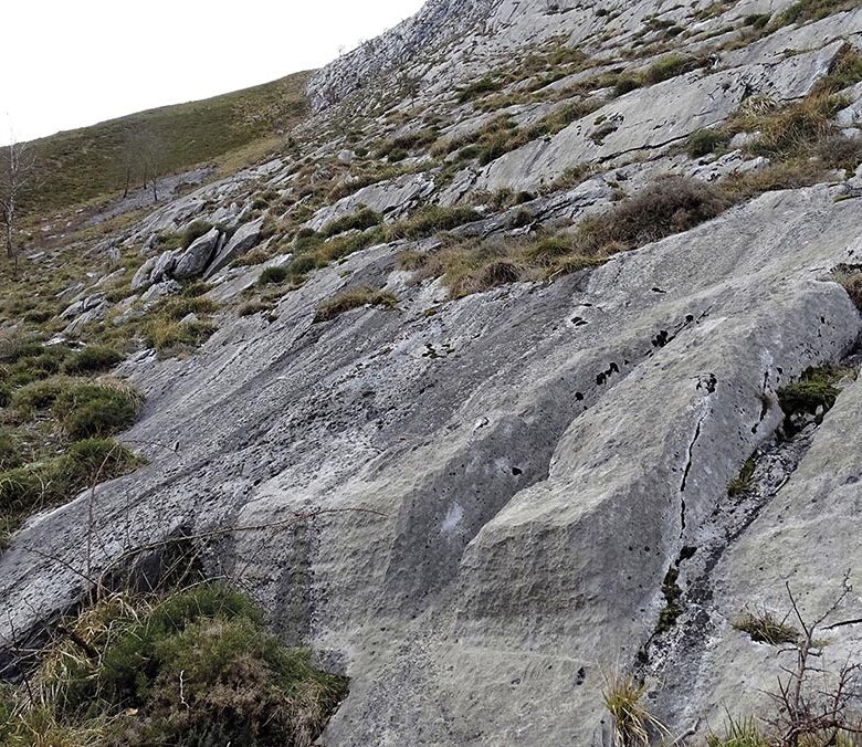 P22 337 EN VADROUILLE 02