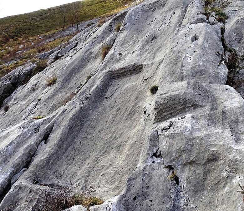 P22 337 EN VADROUILLE 03