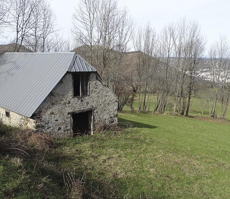 P22 337 EN VADROUILLE 04