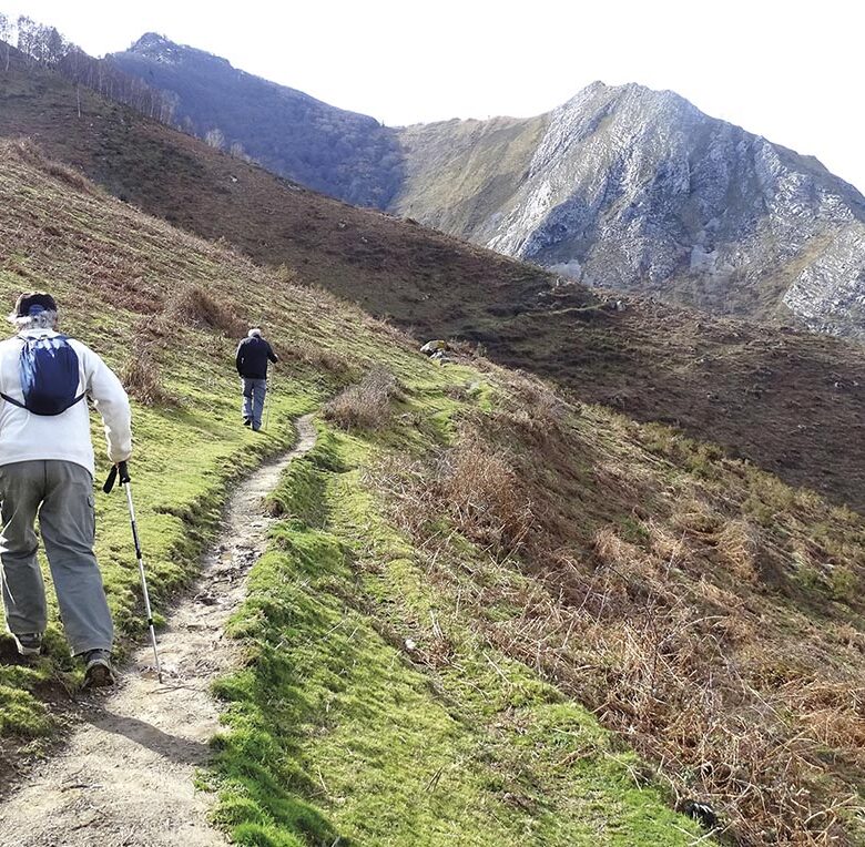 P22 337 EN VADROUILLE 05