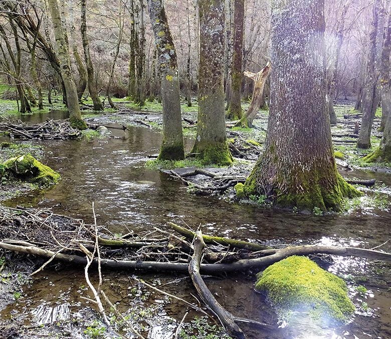 P22 337 EN VADROUILLE 06