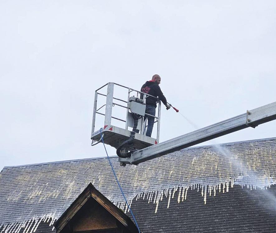 VIGNETTE 03 P23 338 RIGODON