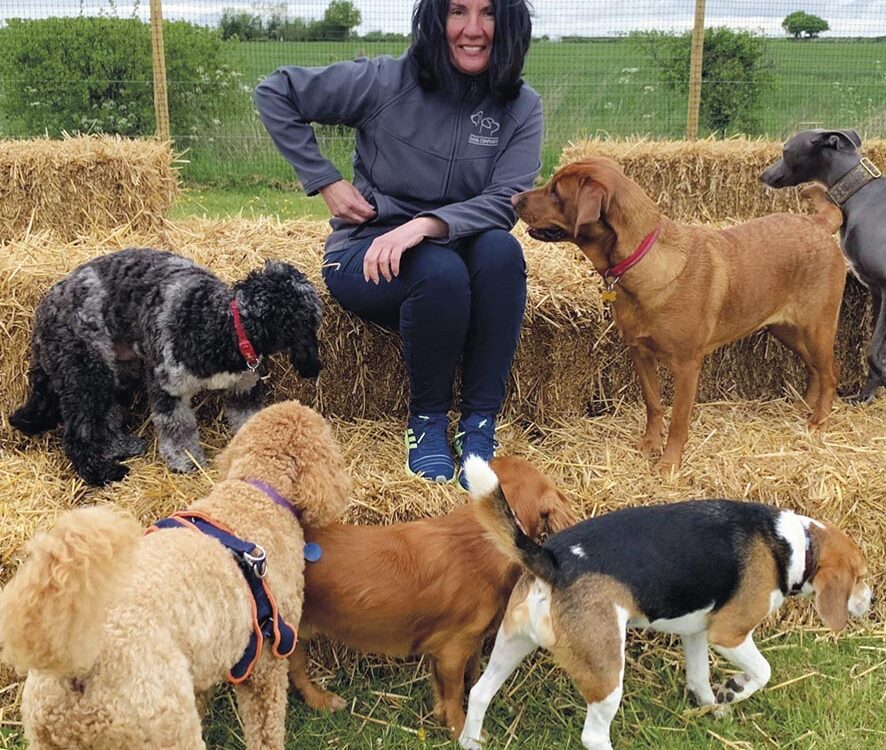 VIGNETTE 06 P12 337 CANIPRAIRIE