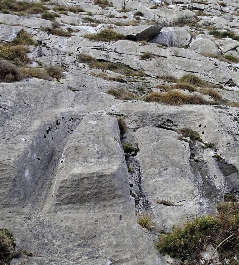 VIGNETTE 08 P22 337 EN VADROUILLE