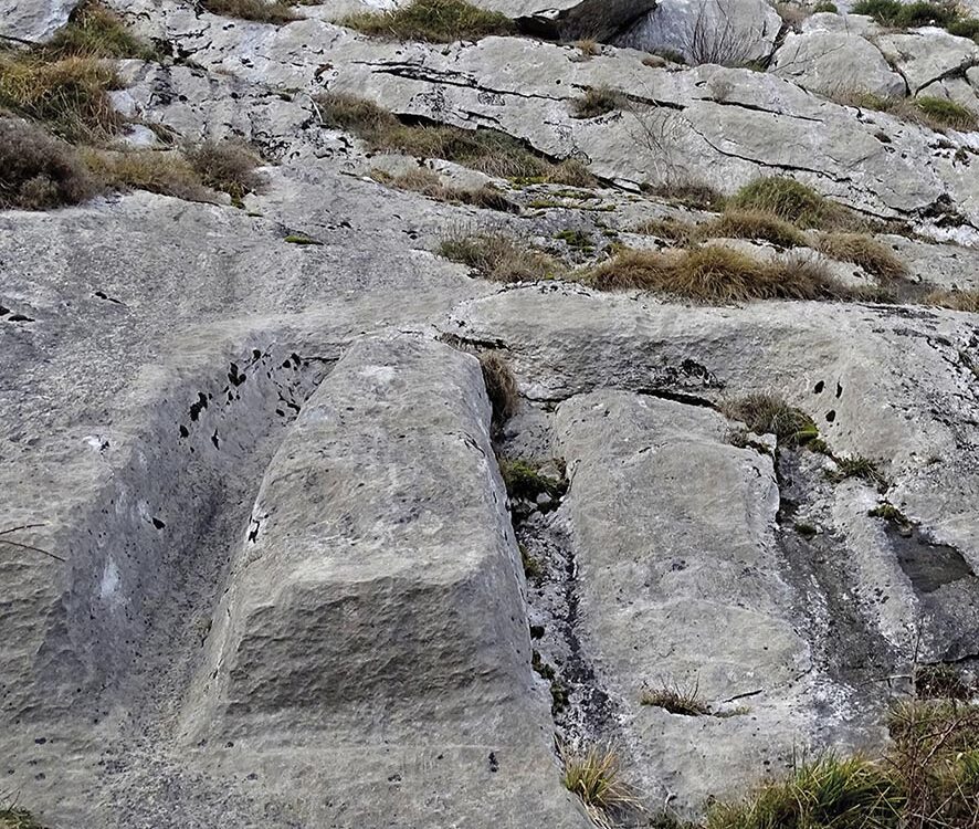 VIGNETTE 08 P22 337 EN VADROUILLE